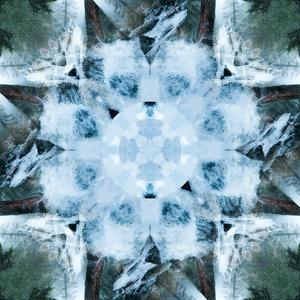 亚洲操逼毛茸茸图
