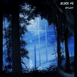 亚洲操逼毛茸茸图
