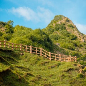 亚洲操逼毛茸茸图
