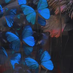 亚洲操逼毛茸茸图
