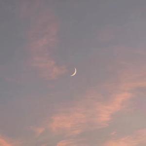 亚洲操逼毛茸茸图
