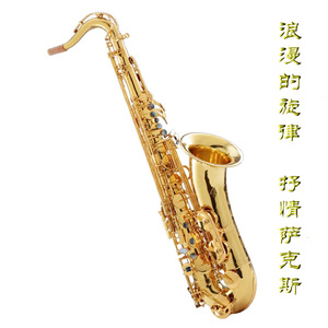 亚洲操逼毛茸茸图
